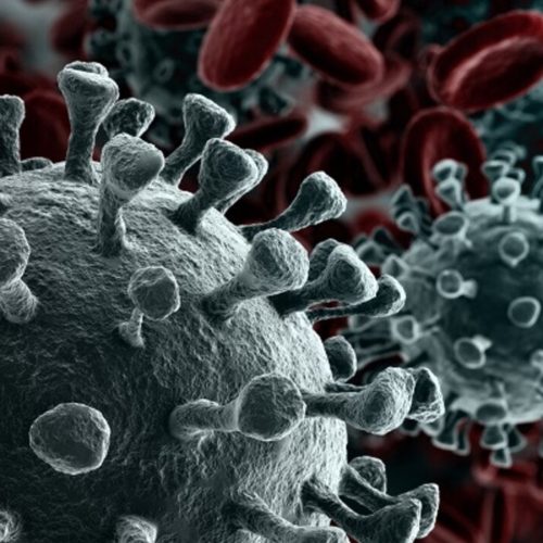 coronavirus-creativeneko-shutterstock-com